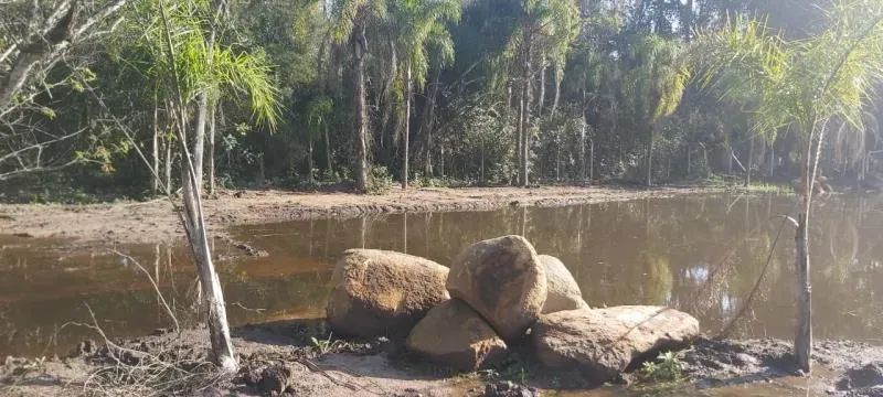 Velleda oferece magnífico sítio com açude próximo ao centro de Viamão - Foto 8