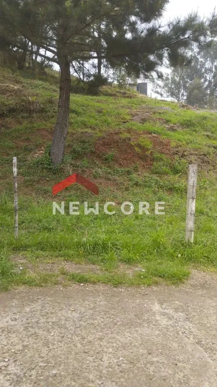 Lote em Marechal Floriano - Centro - São Francisco de Paula/RS - Foto 4
