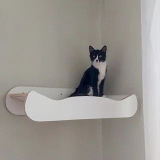 Cama de Gato - Foto 3