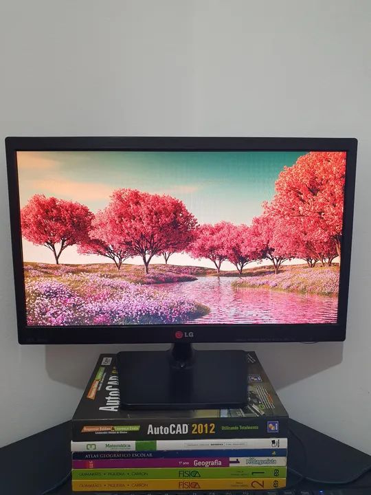 Monitor LG 19.5 polegadas 60Hz