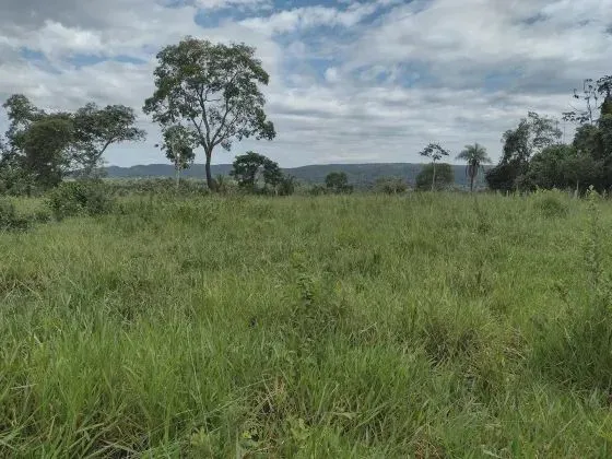 Fazenda c/ 149he, c/ 80he aberto, terra mista, 70km de Cuiabá-MT