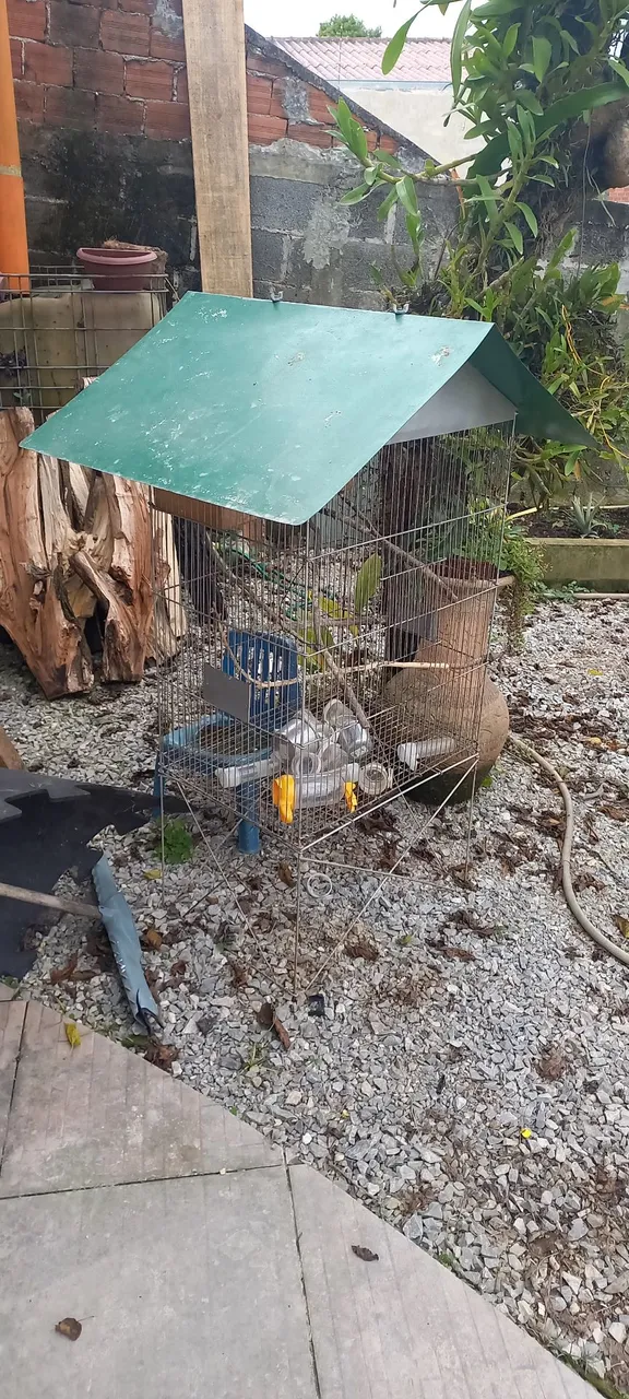 Gaiola para pássaros com telhado