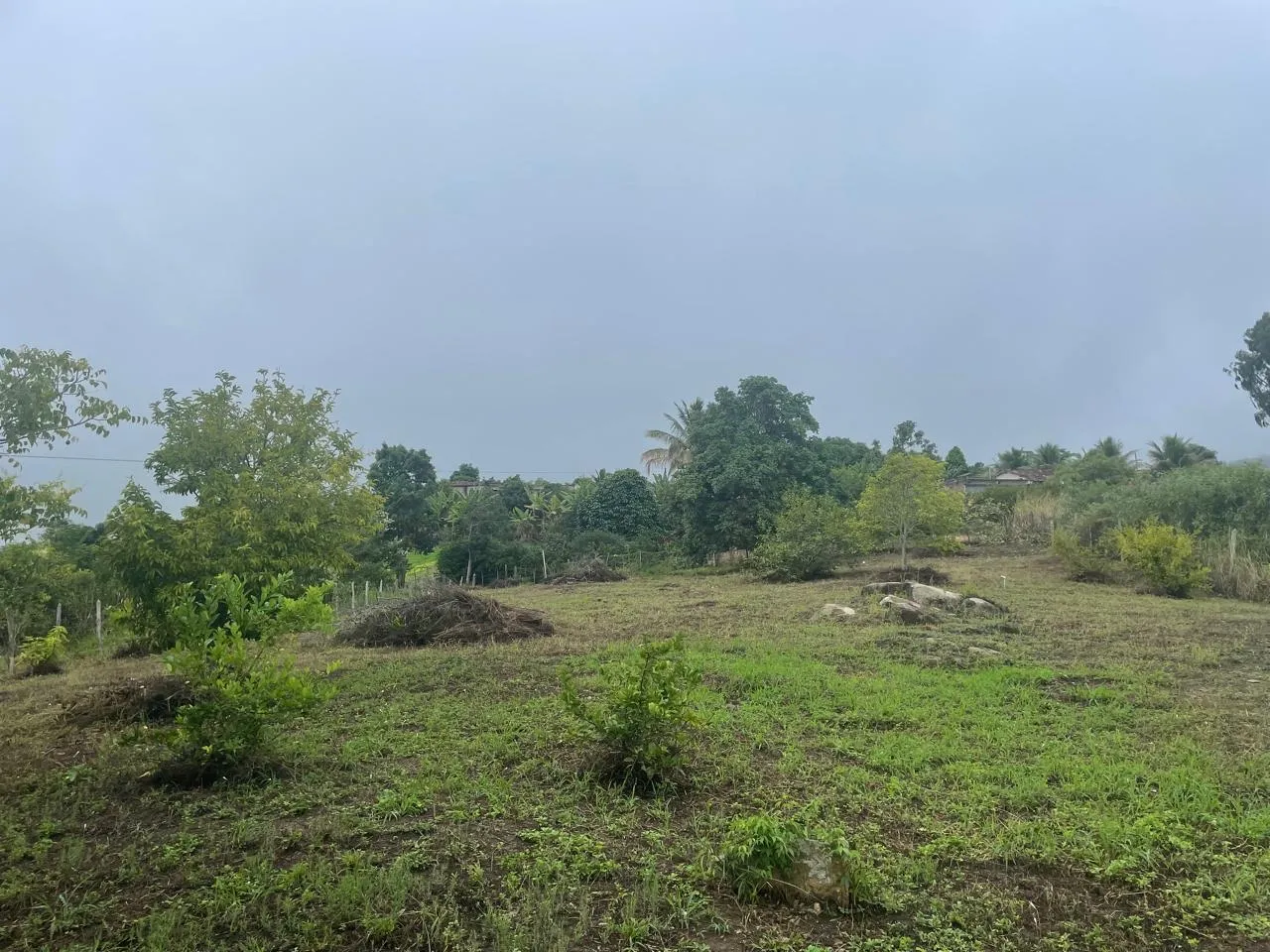 Terreno 30x50 Murici