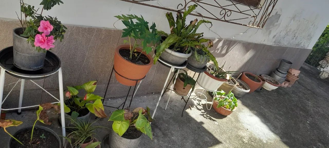 Vasos de planta e Tripés em ótimo estado - Foto 5