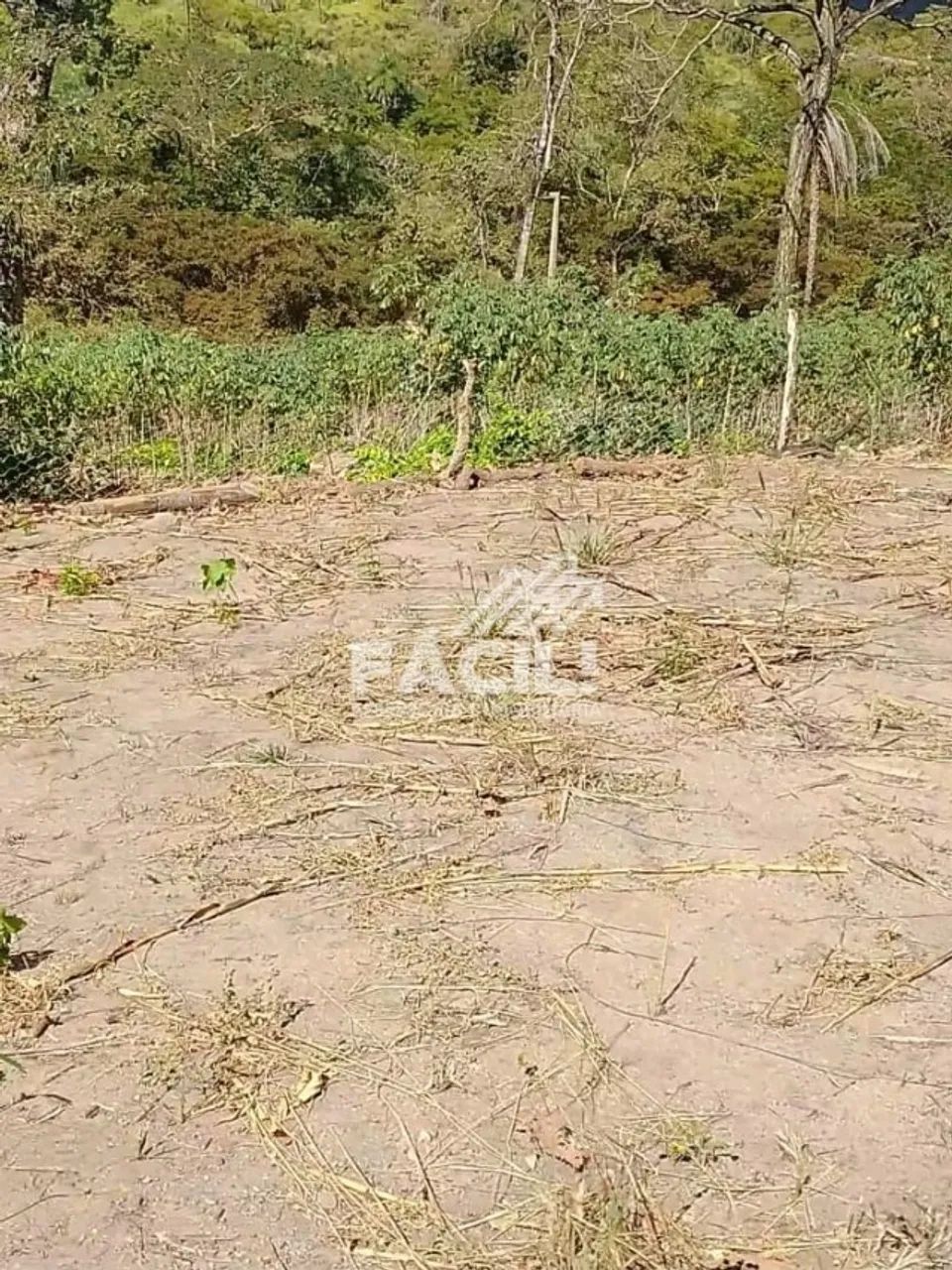 Chácara 7 Hectares com Córrego, Piscina e Vista para o Lago | Próximo a Palmas - Foto 5