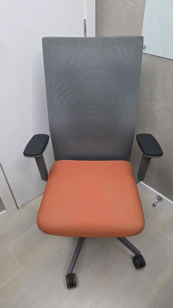 Cadeira Ergonômica Alberflex Modelo Say - Impecável - Oportunidade - Foto 2