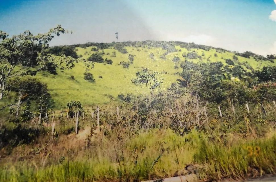 //Terreno com 270 hectares na BR 174 - Foto 2