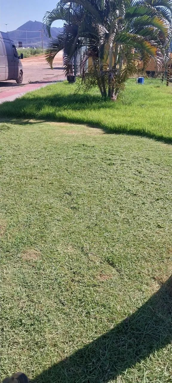 Jardinagem e manutenção 