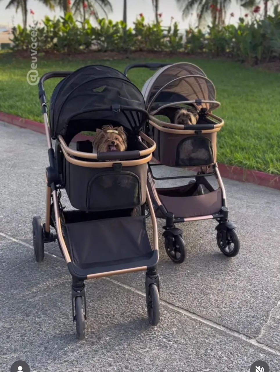 Carrinho Pet - Foto 4