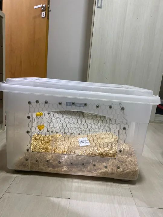 Gaiola para Roedores