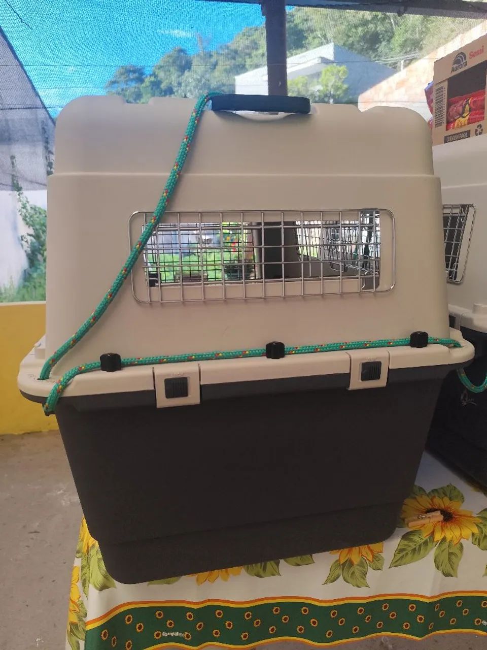 Caixa de Transporte para carros e avião - tamanho G - Foto 3