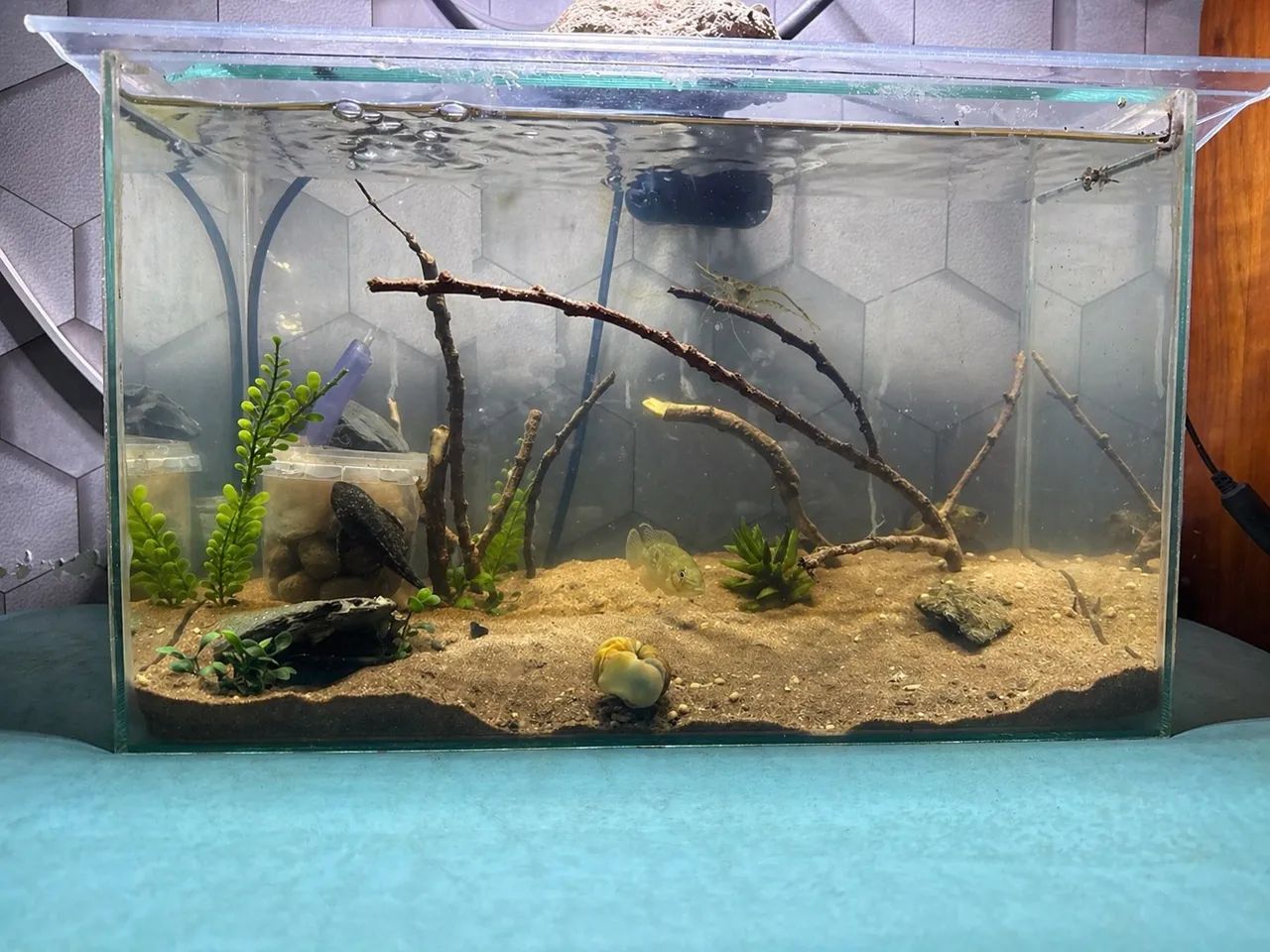 Complete 13L Aquarium + Stand + Lamp + Air Pump (READ DESCRIPTION)