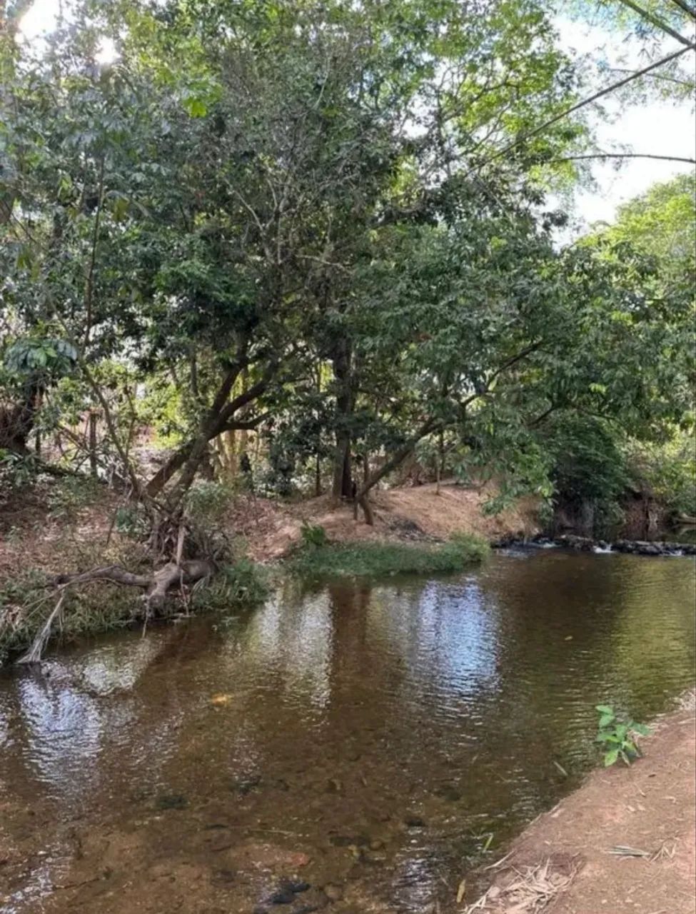 Chácara com rio em barreiras 2,5 hectares  - Foto 2
