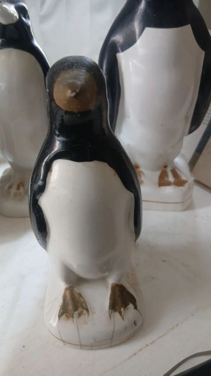 Lote de pinguins - Foto 3