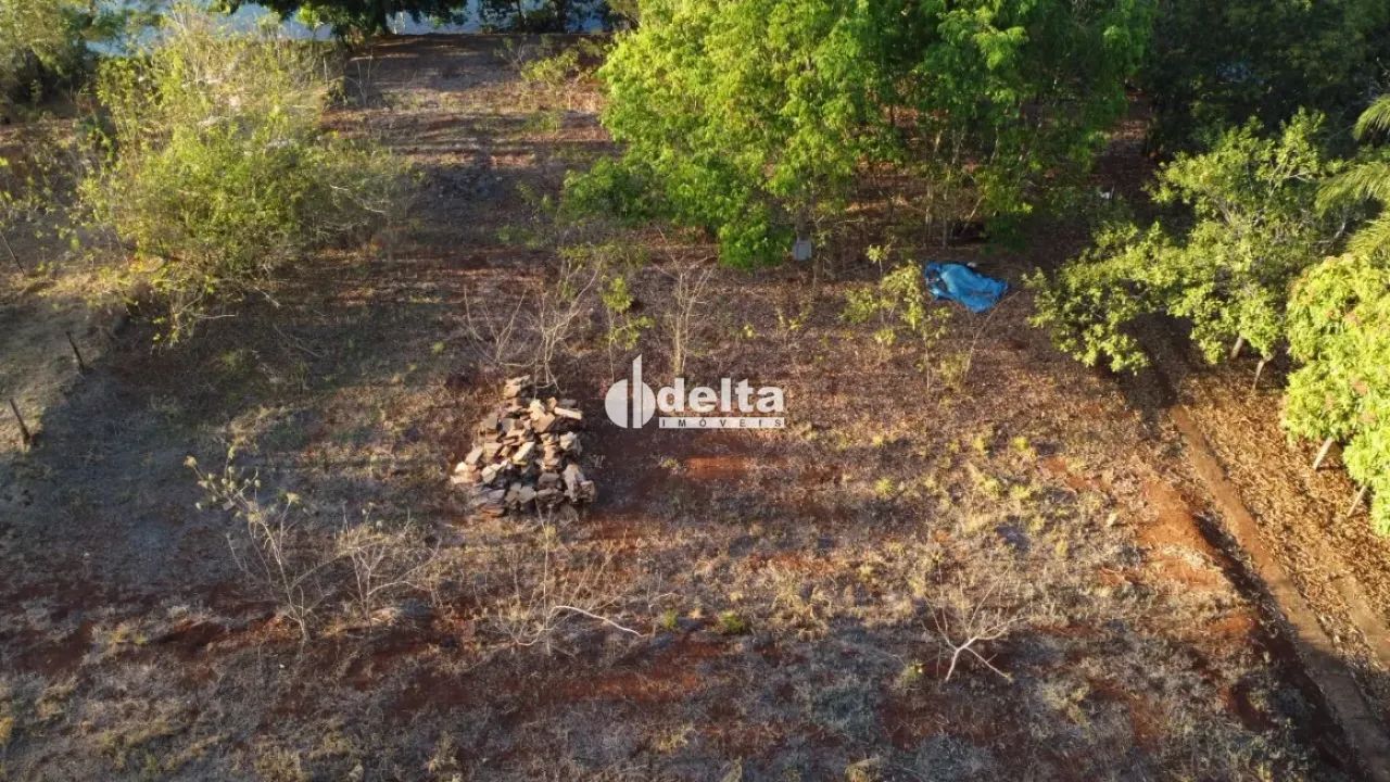 Lote Beira Lago (Indianópolis) - Foto 4