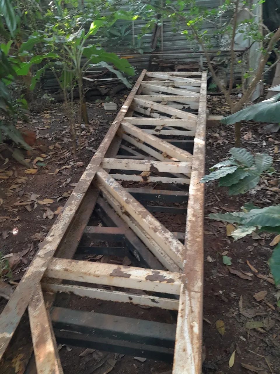 Tesouras de ferro  - Foto 2