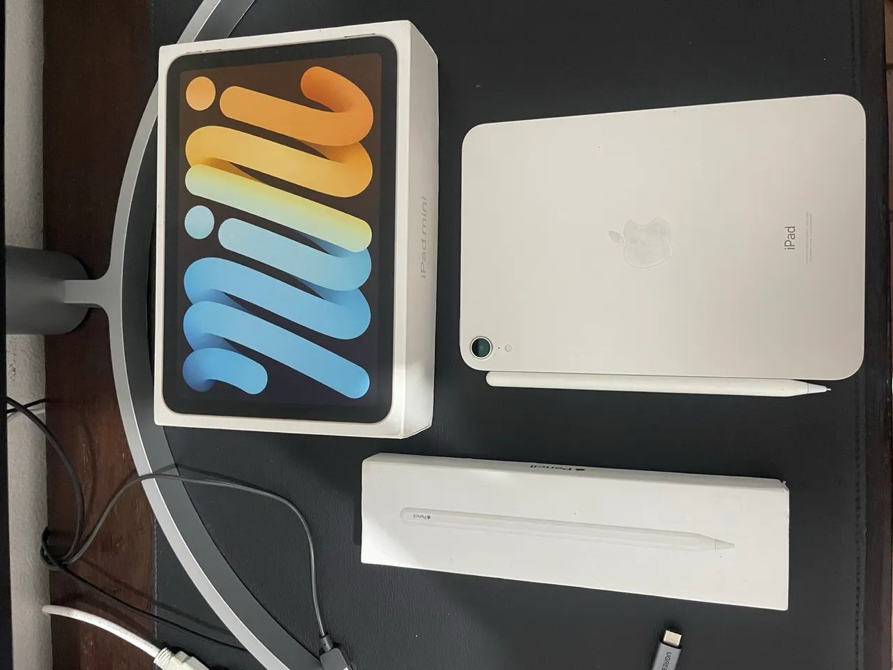 iPad 6 mini + Apple Pencil 2 geração - Tablets e E-Readers