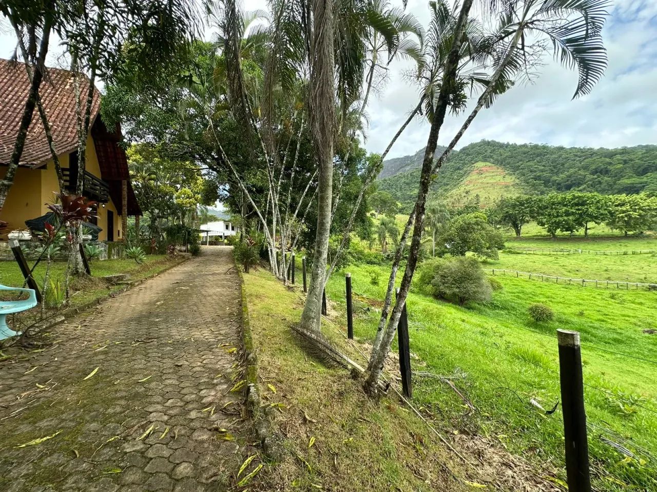 Sítio para venda tem 30.000 metros quadrados e casa com 3 quartos - Foto 2