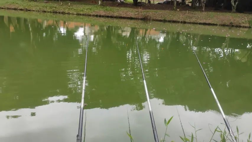 Vendo terreno em limeira 
