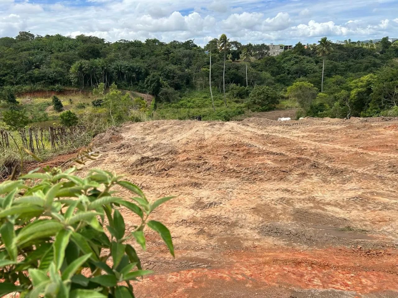 Um lugar bem tranquilo Terreno em Vitória de Santo Antão  - Foto 3