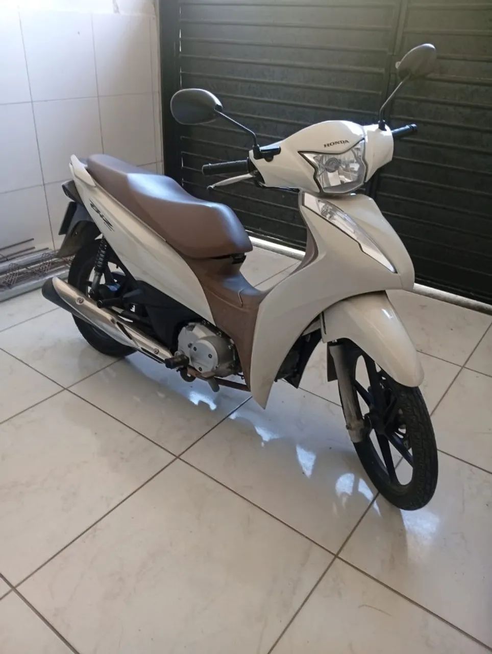 BIZ 2019 ex