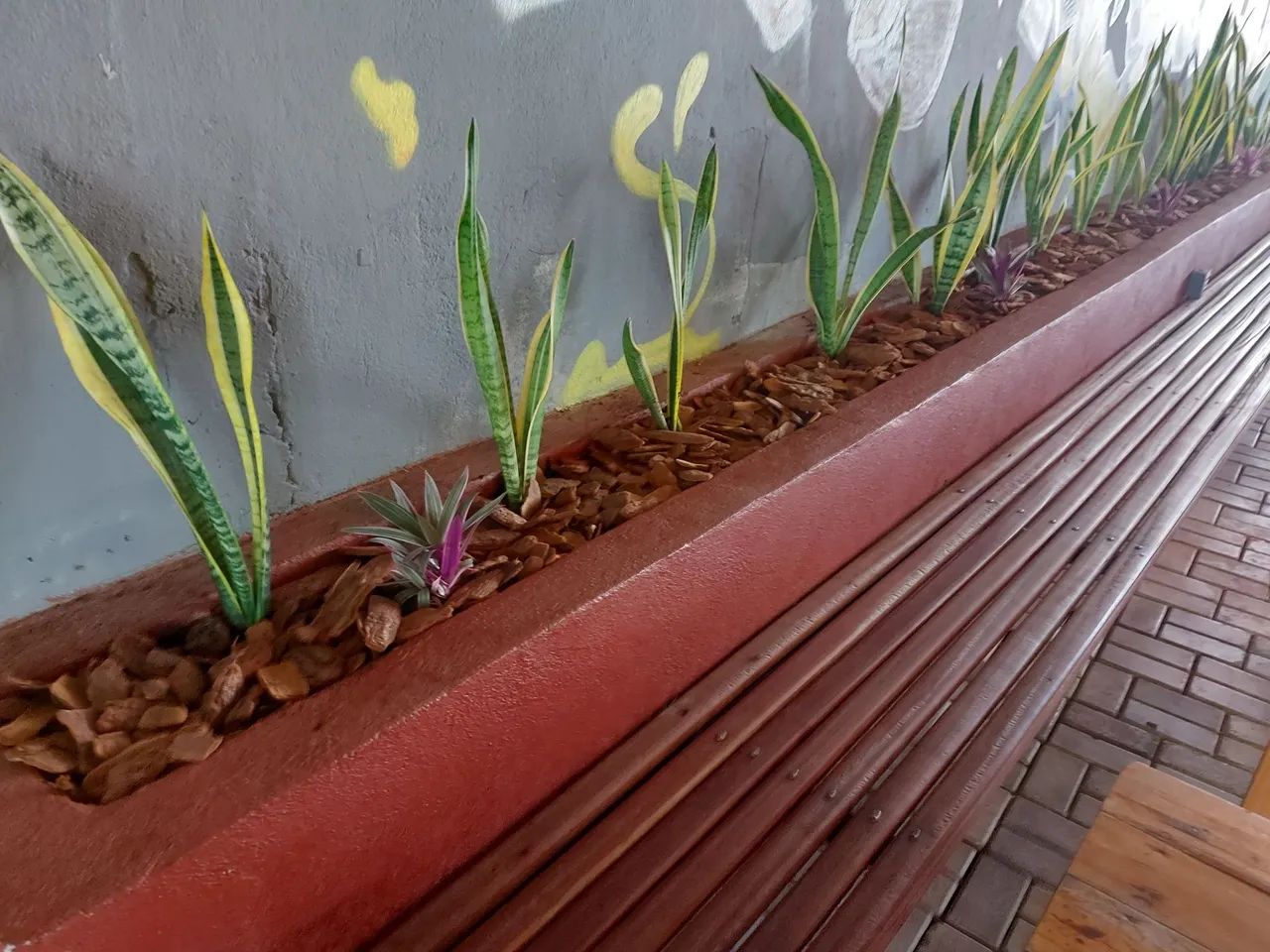 Jardinagem e paisagismo  - Foto 2