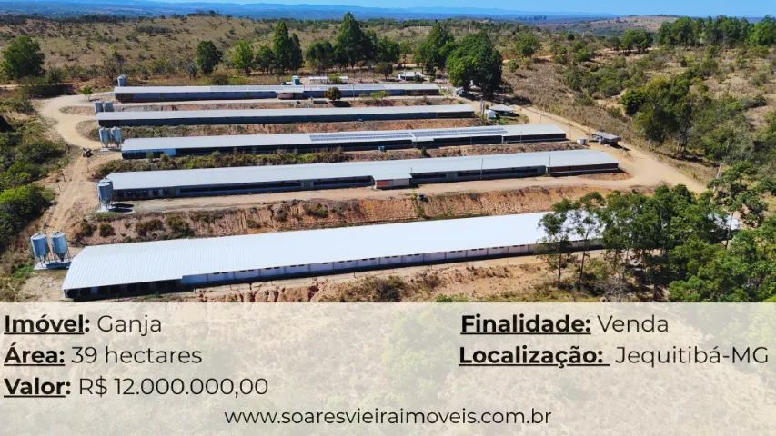 GRANJA À VENDA COM 39 HECTARES | JEQUITIBÁ/MG
