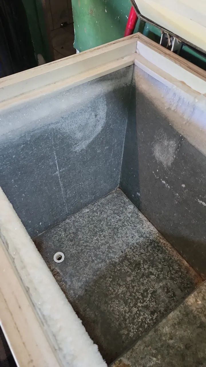 Freezer electrolux 400L