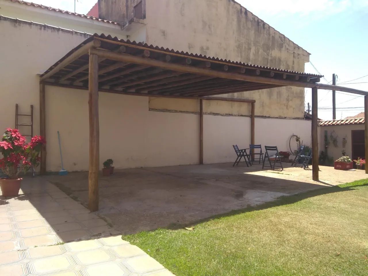 Eucalipto roliço  - Foto 4