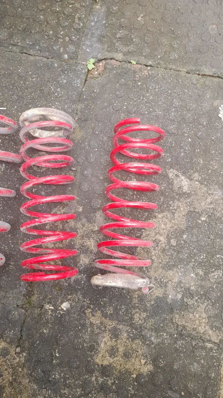 Molas esportivas red coll 