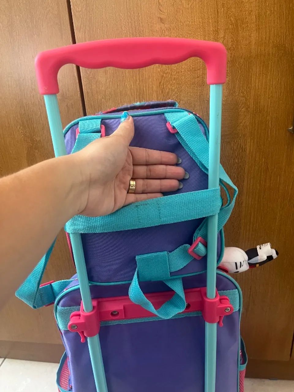 Mochila patrulha canina 