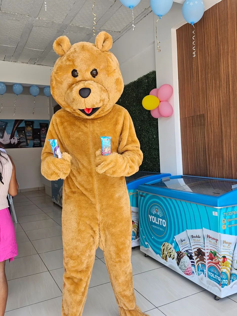 Fantasia de Mascote urso