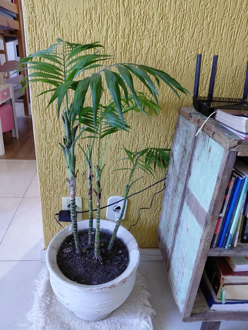 Vaso de planta 