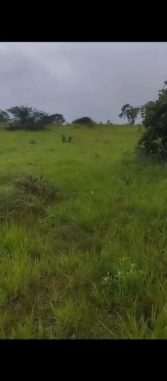 Terreno  - Foto 2