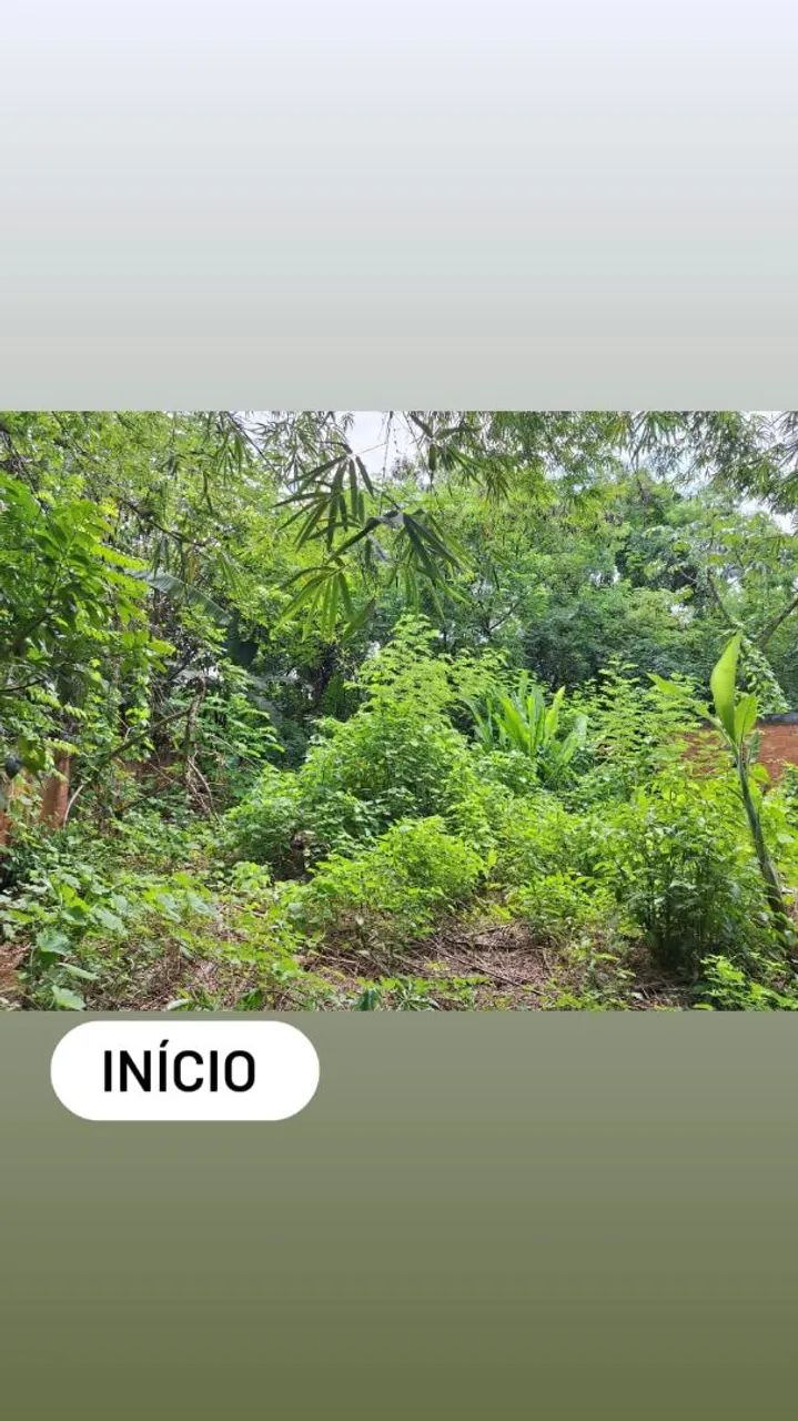 Terreno 12x30 em São Bento - Foto 5
