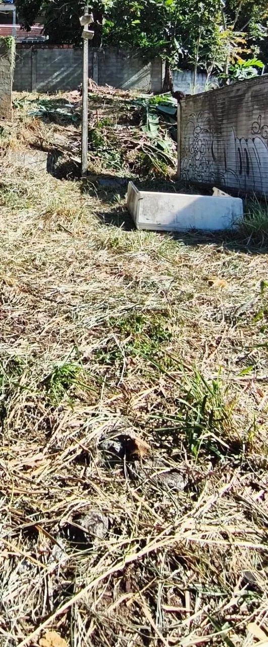 Terreno Plano em Mussurunga - Foto 4
