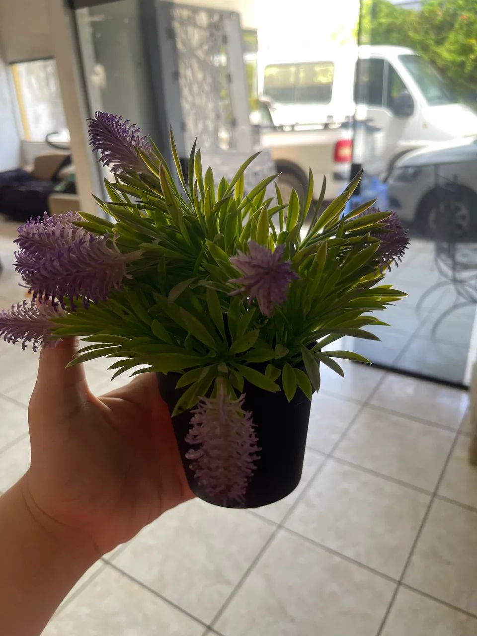 Muro de plantas  - Foto 3