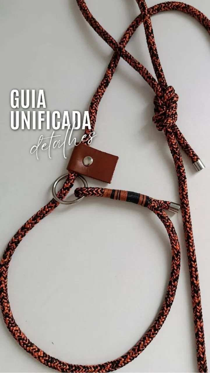Guia unificada pet 