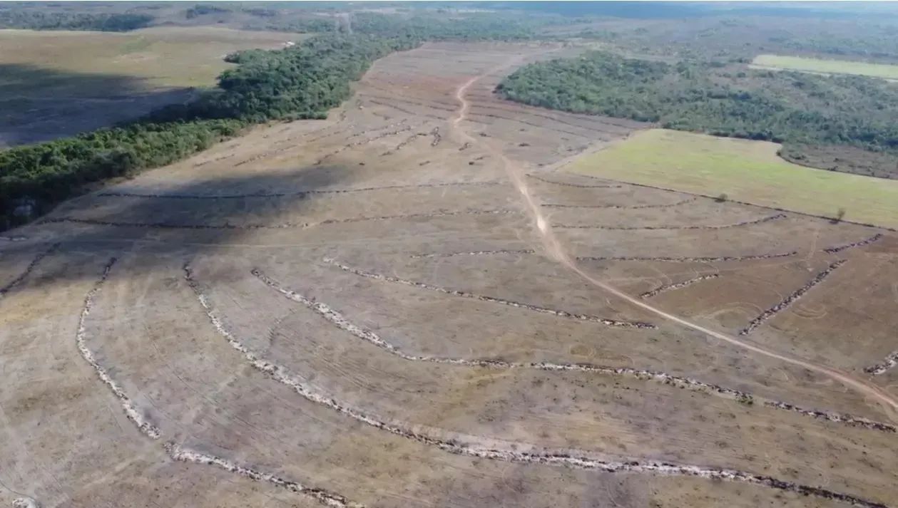 Fazenda 236,38 alqueires (1.144,12 hectares) Pium - To - Foto 3