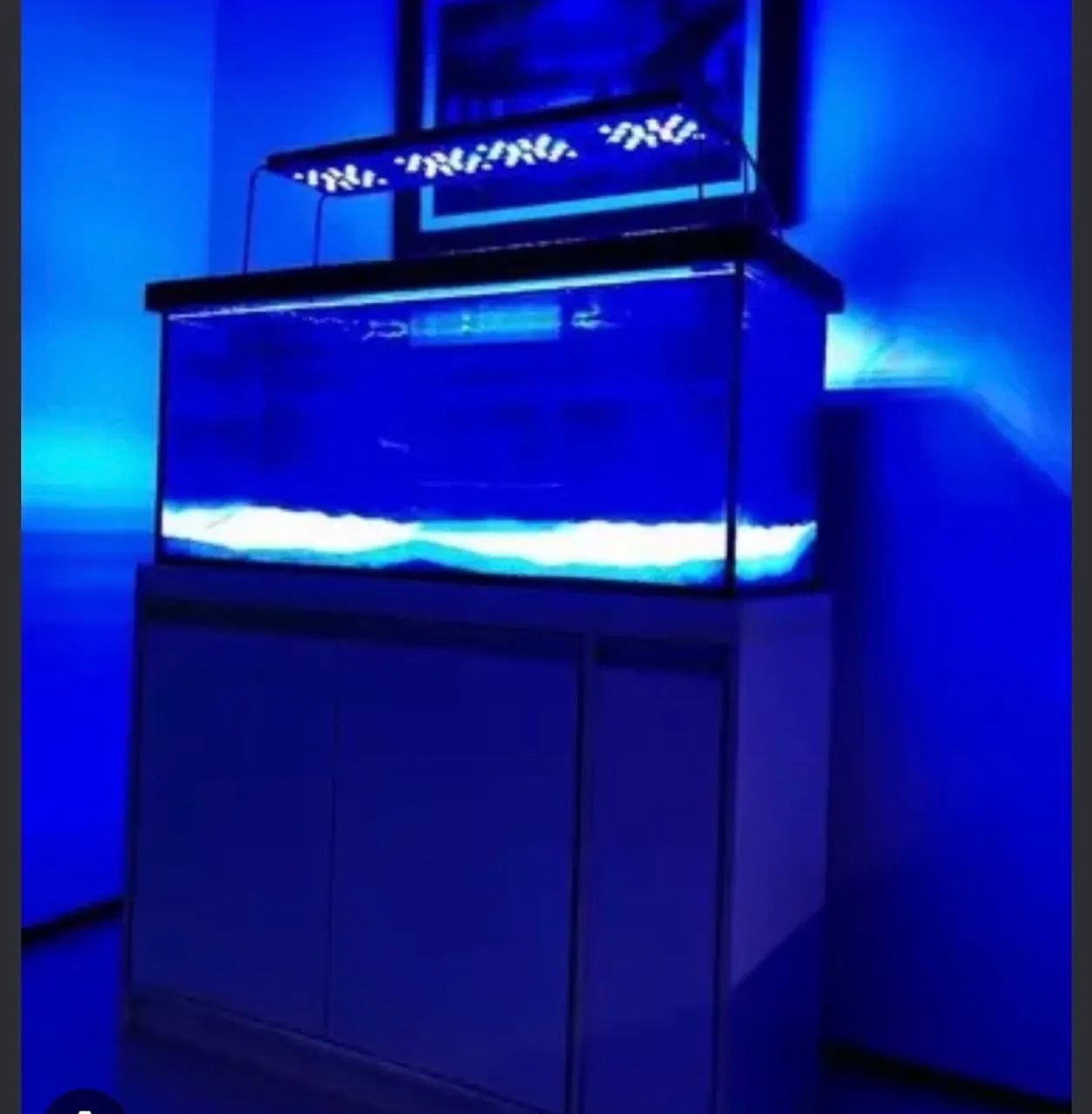 Luminária de aquário - Foto 3