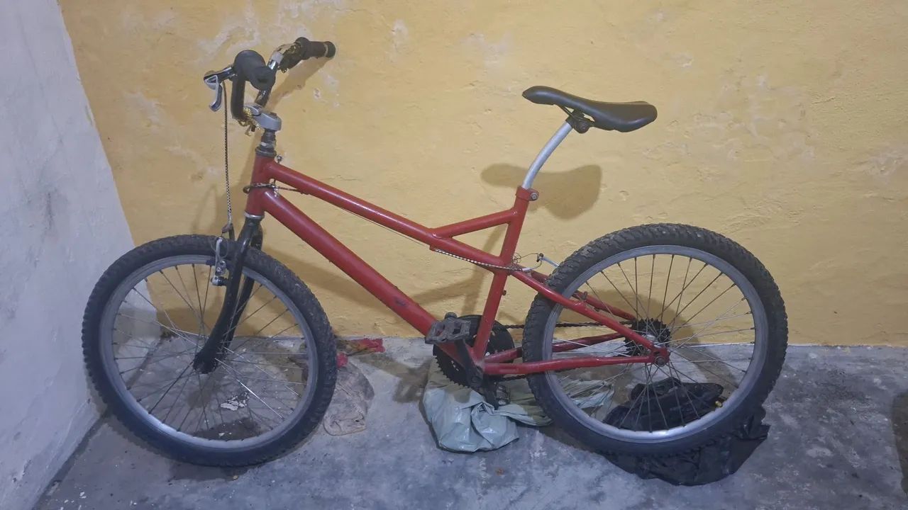 Bicicleta
