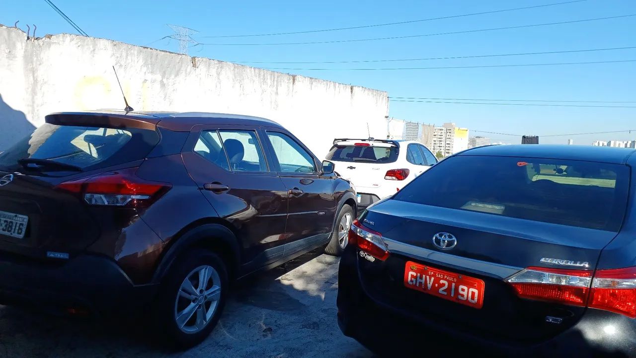 Motorista particular profissional 