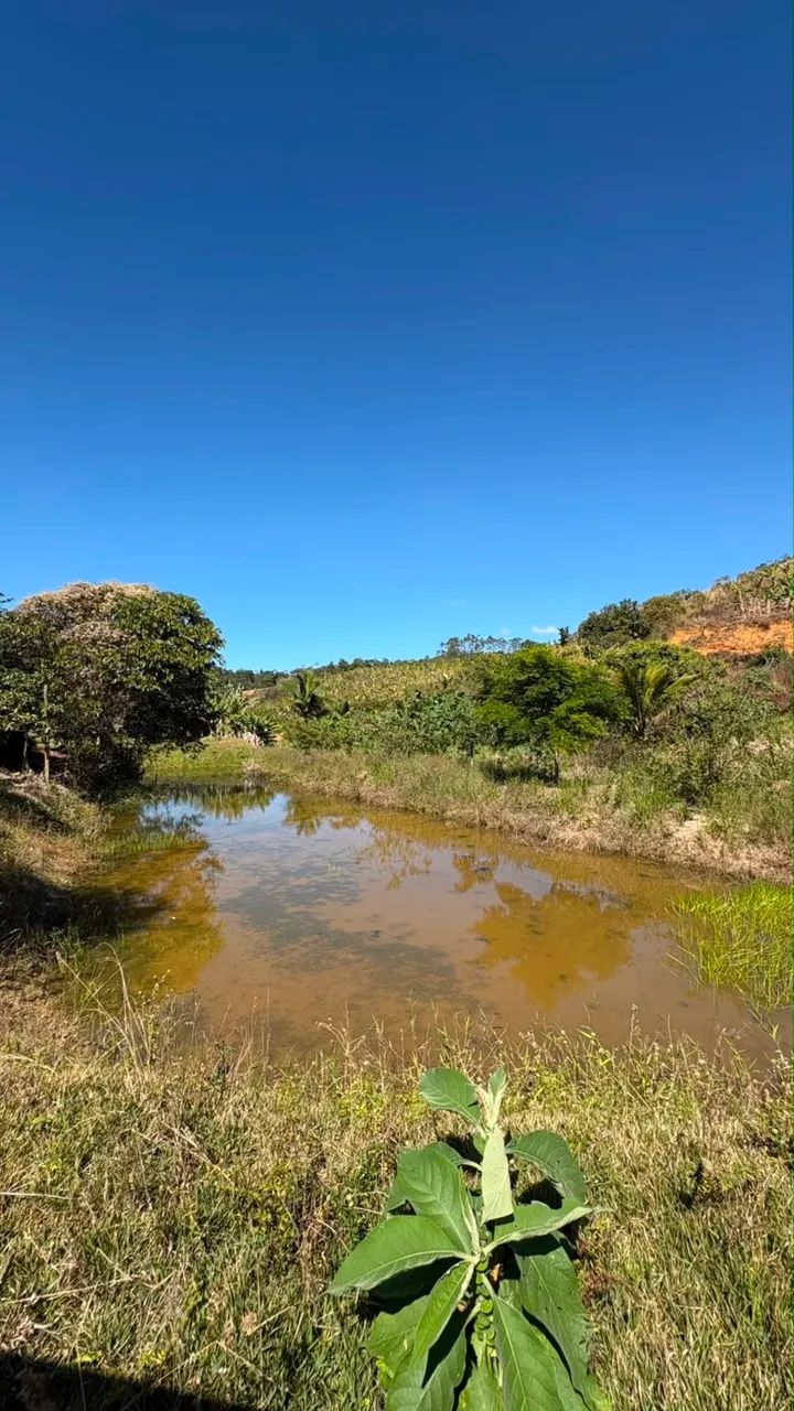 Sítio em Melgacinho - Domingos Martins - Foto 5