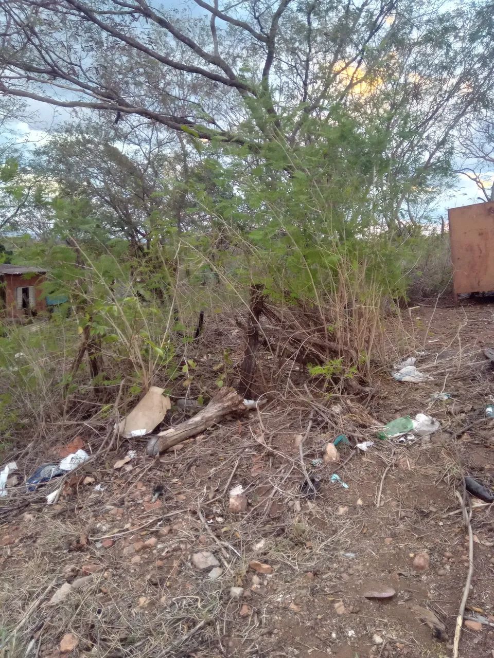 2 terrenos a venda  - Foto 2