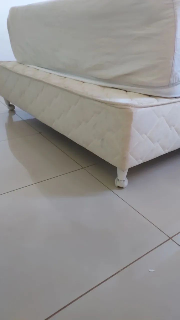 Renovação 