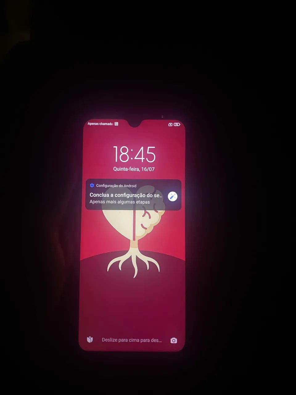 Celular 