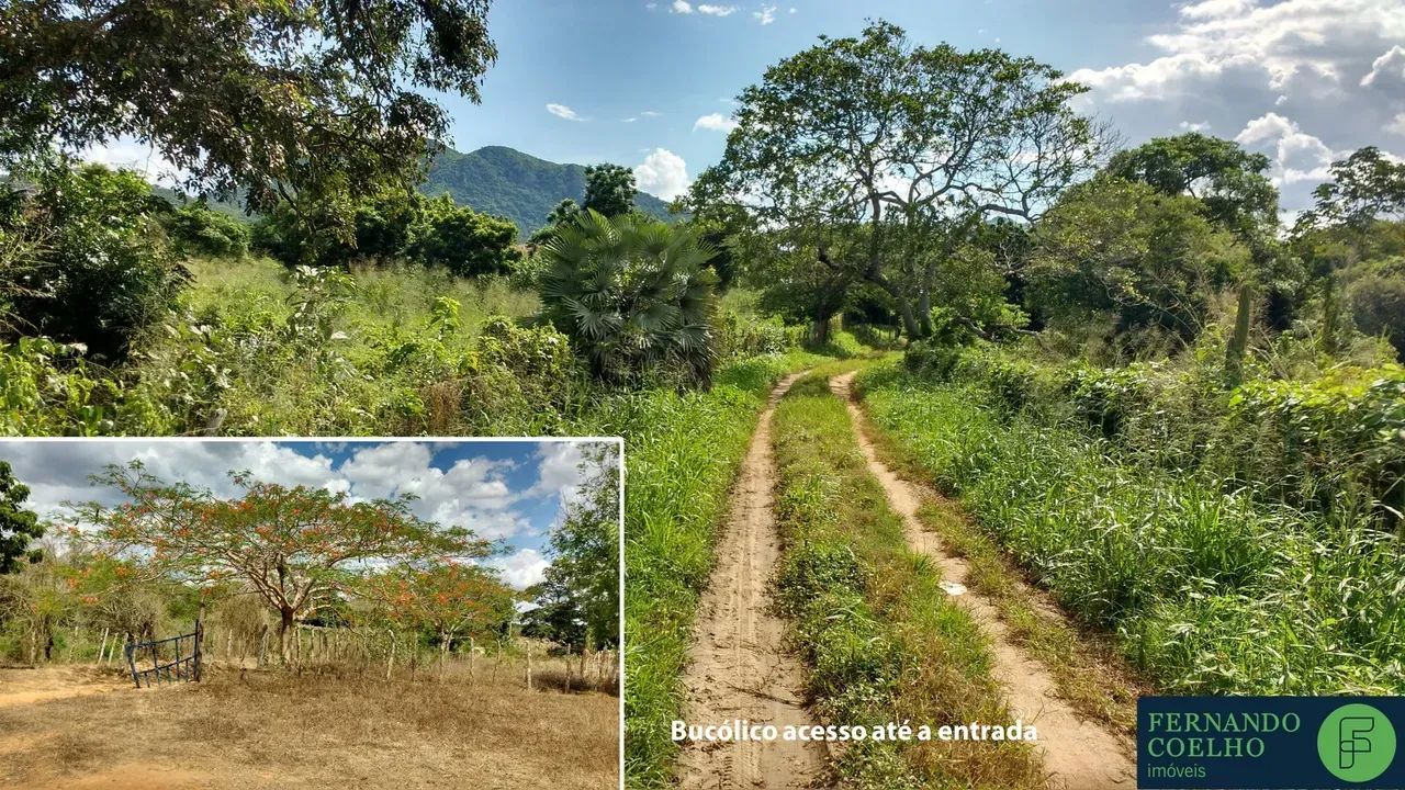 Fazenda para venda com 147ha em Umirim - CE - Foto 3