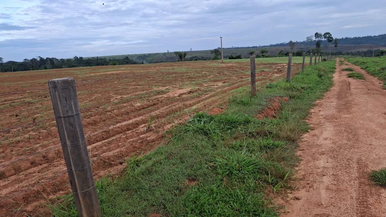 Fazenda  em Juina-MT - Foto 5