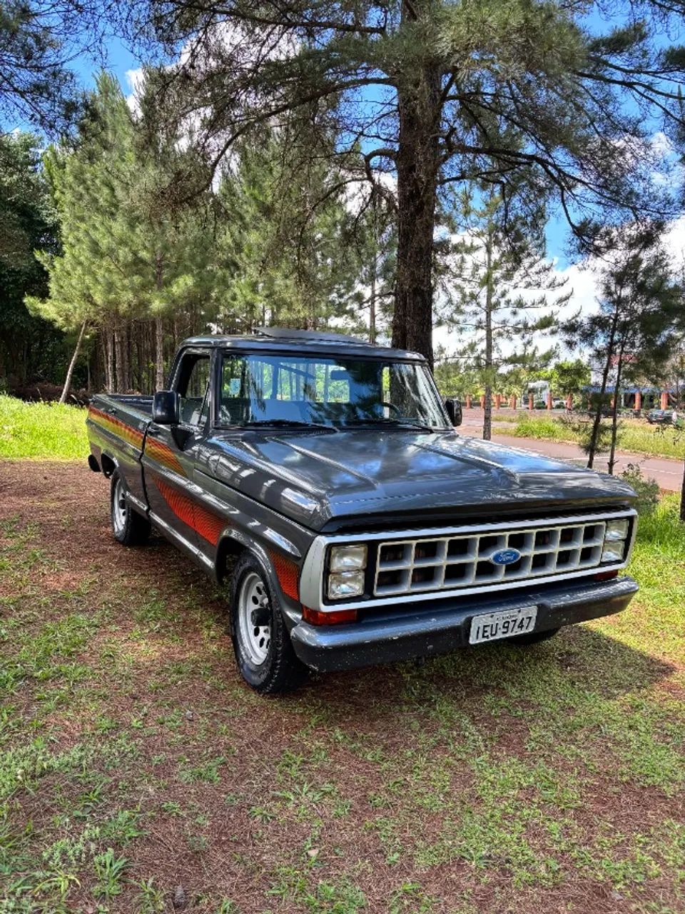 Ford F-1000 F-1000 S. S. Diesel / S.S. Diesel Turbo 1990