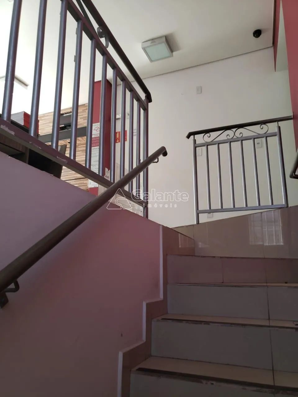 casa - Centro - Campinas - Foto 5
